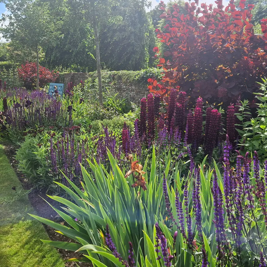 Freshly maintained garden border