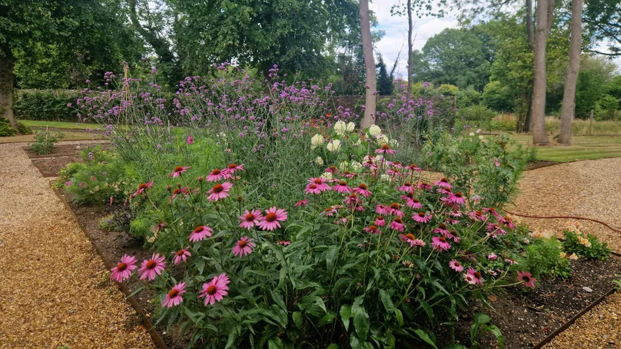 Garden Design & Planting project by JW Garden Services in the Aylesbury area — example 1