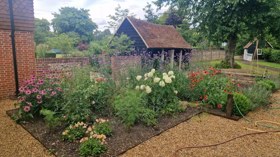 Cut flower garden of echinacea, salvia and achillea planted through gravel in front of a timber cart lodge