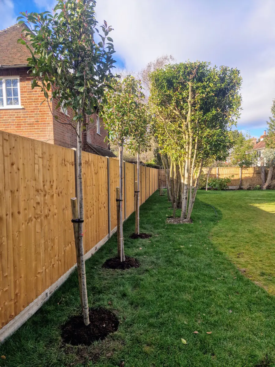 Colourful planted border designed and planted by JW Garden Services
