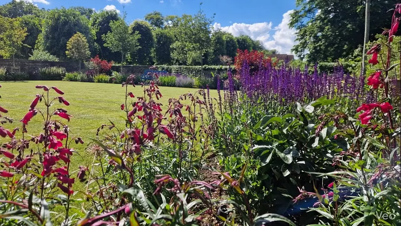 Beautiful English garden landscape maintained by JW Garden Services