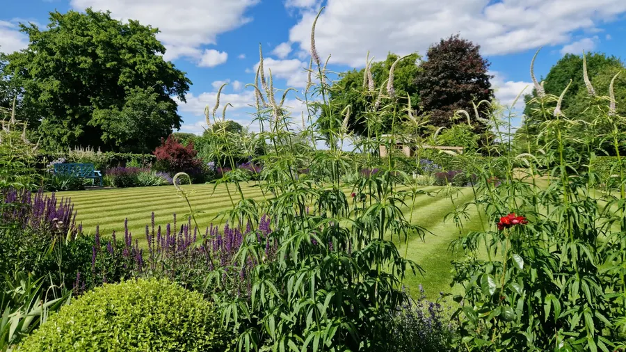 Garden Maintenance project by JW Garden Services in the Aylesbury area — example 1