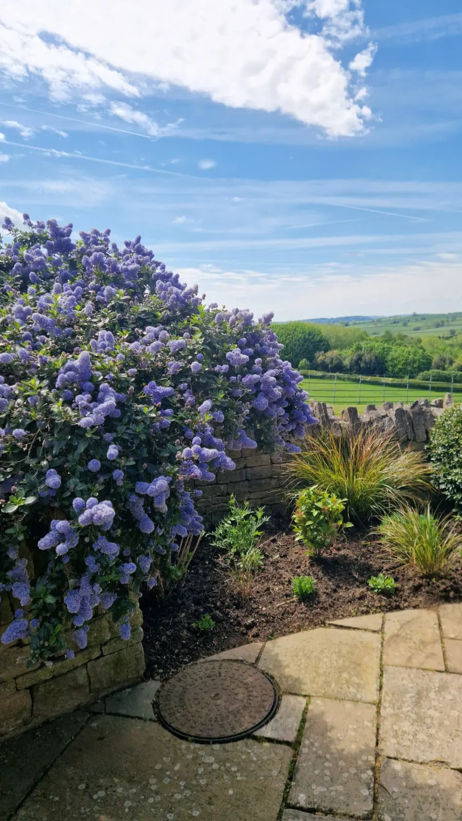 Garden Maintenance project by JW Garden Services in the Aylesbury area — example 4