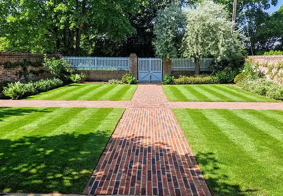 Neatly maintained lawn and borders in an Aylesbury garden