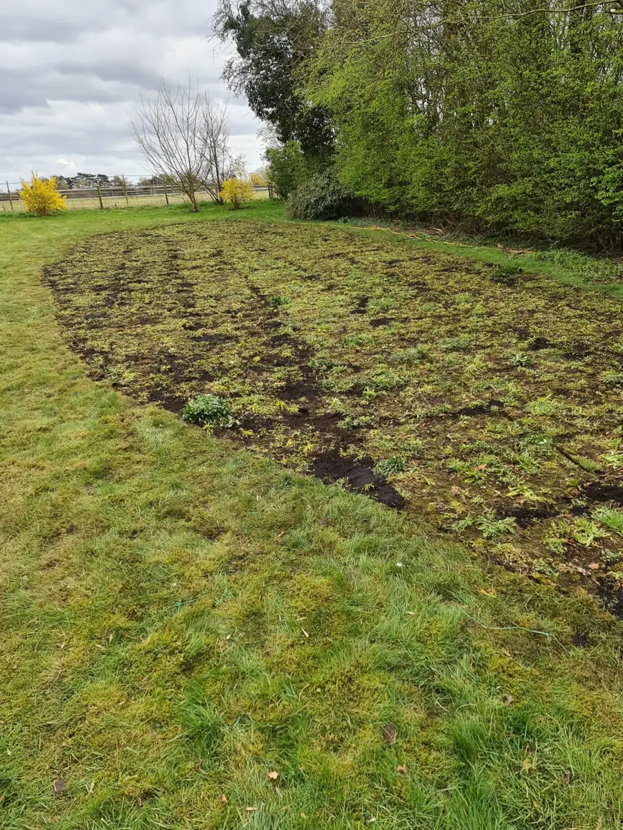 Large border cleared and prepared for replanting in a countryside garden