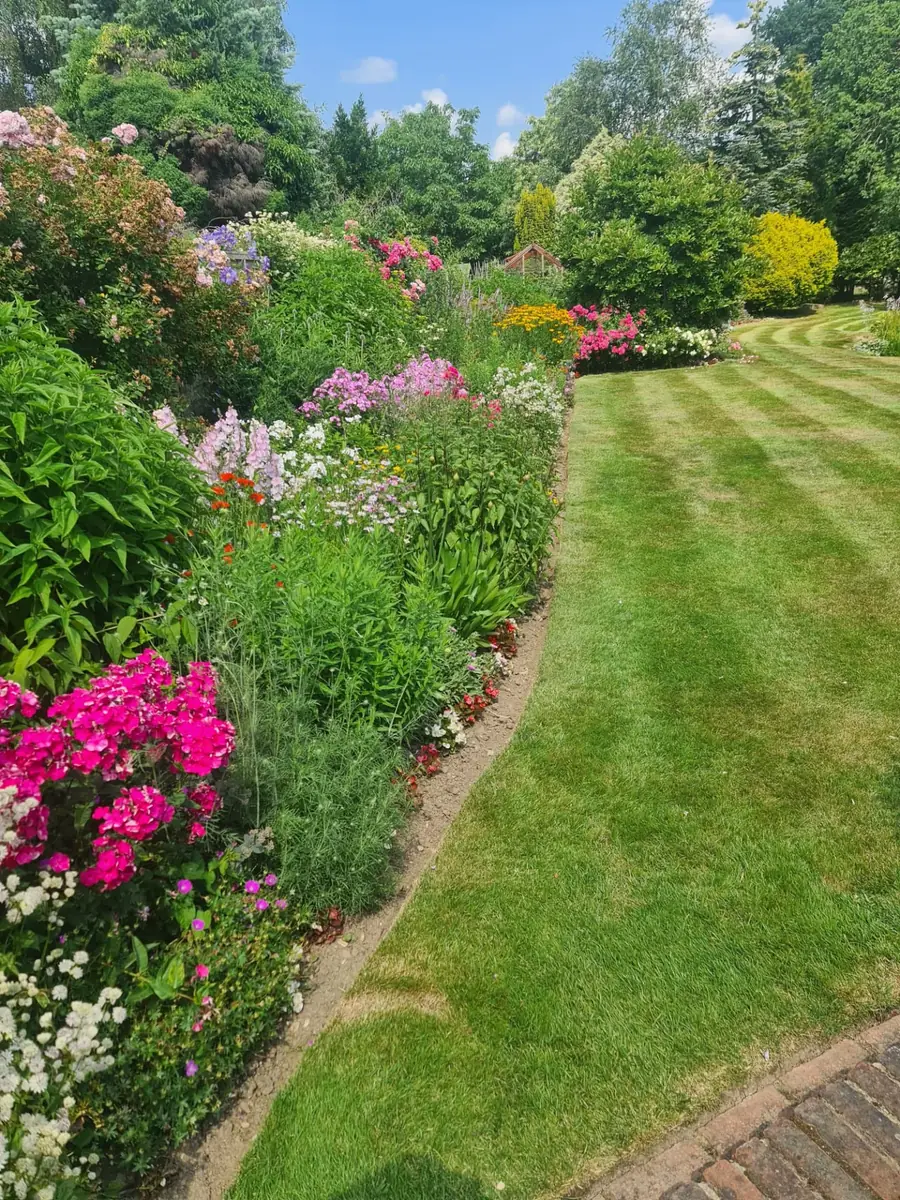 Colourful herbaceous border in full summer flower beside a striped, freshly mown lawn